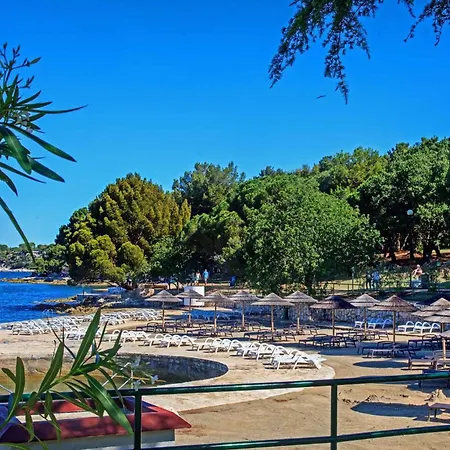 Apartment In Porec/istrien 38386